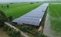 Tăng thu nhập nhờ làm nông lắp thêm điện mặt trời